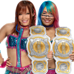 WWE Women's Tag Team Champions The Kabuki Warriors